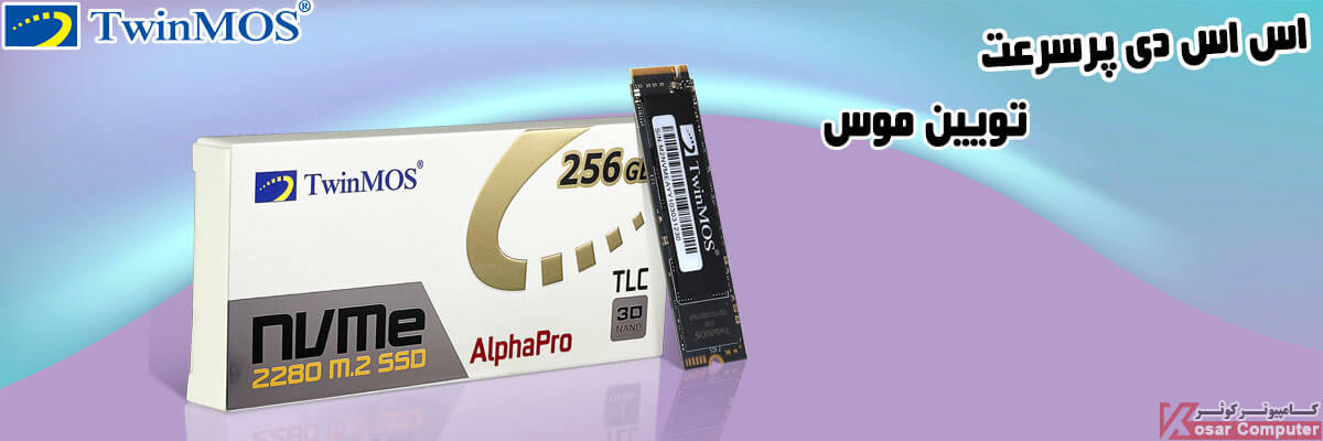 اس اس دی تویین موس 256 گیگابایت M.2 NVME CSS floats